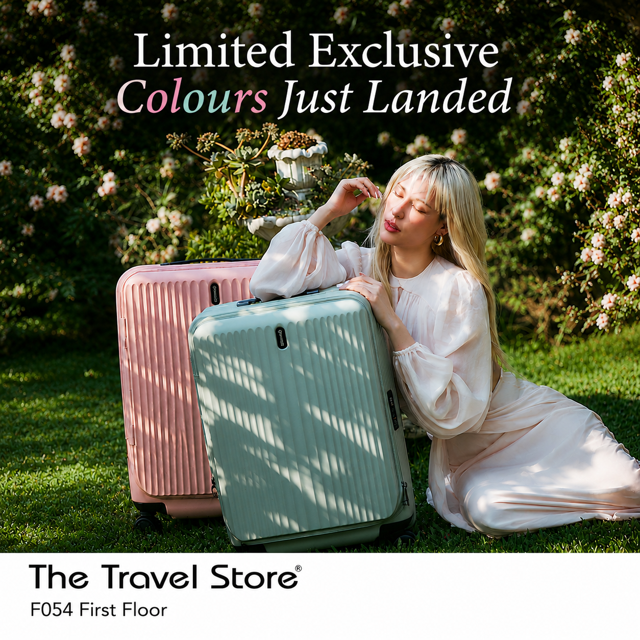 The Travel Store